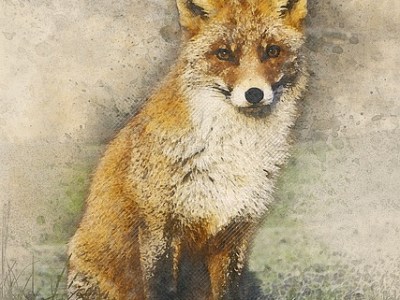 Alma – Ein Telegramm aus&nbsp;Schwanstein